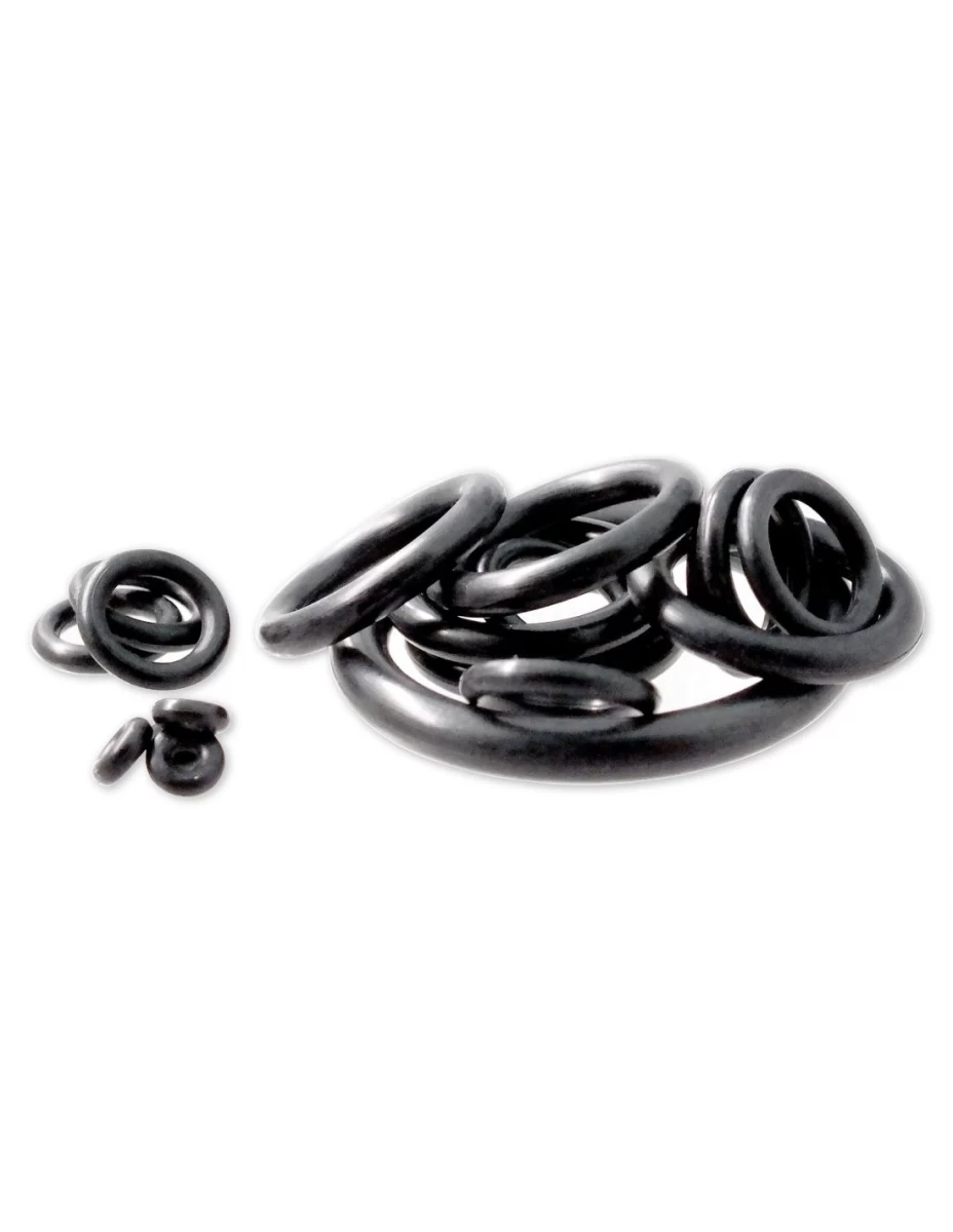Tarpinių rinkinys IST O-RING KIT 20 vnt.
