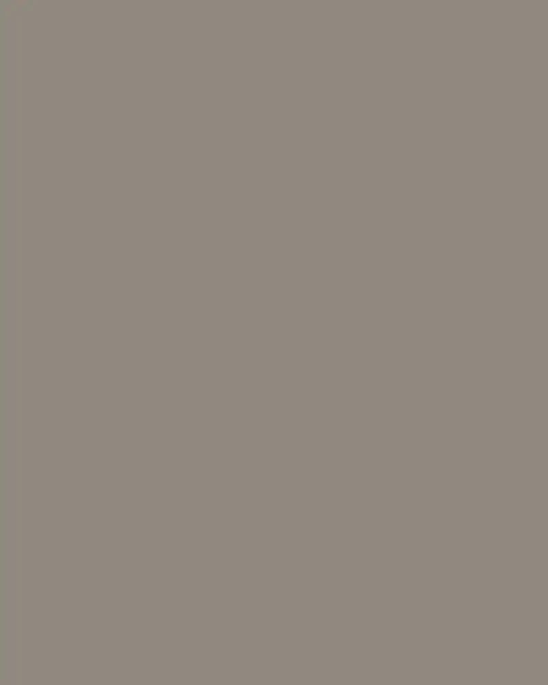 Taupe CI 1150 šiltos rudos ir šaltos pilkos spalvos mišinys - 0.1 L - Visiškai matinis Taupe CI 1150 šiltos rudos ir šaltos pilkos spalvos mišinys - 0.1 L - Visiškai matinis