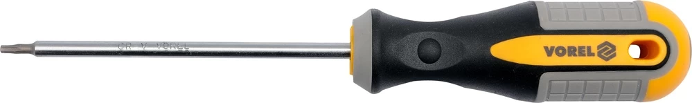 TORX Atsuktuvas T10x100 mm CRV (60885)