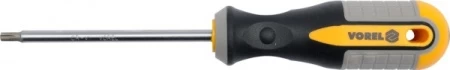 TORX Atsuktuvas T25x100 mm CRV (60888)
