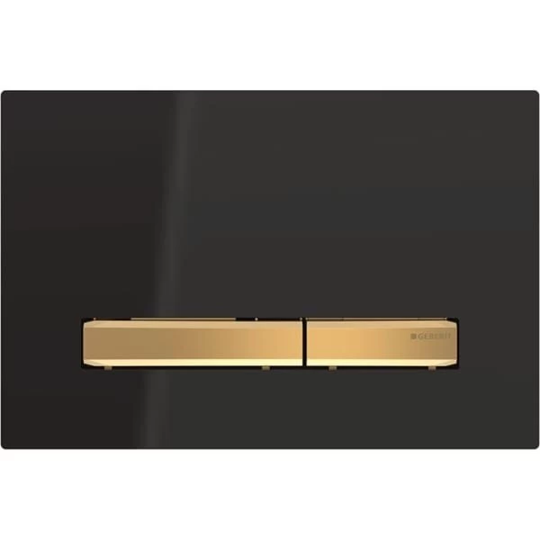 Vandens nuleidimo mygtukas Geberit Sigma 50, juodas 115672DW2