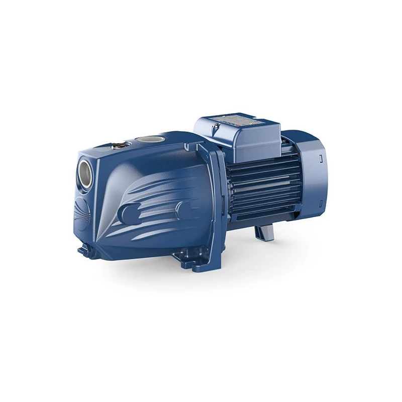 Vandens siurblys Pedrollo JSWm1AX-N (JSWm1AX)