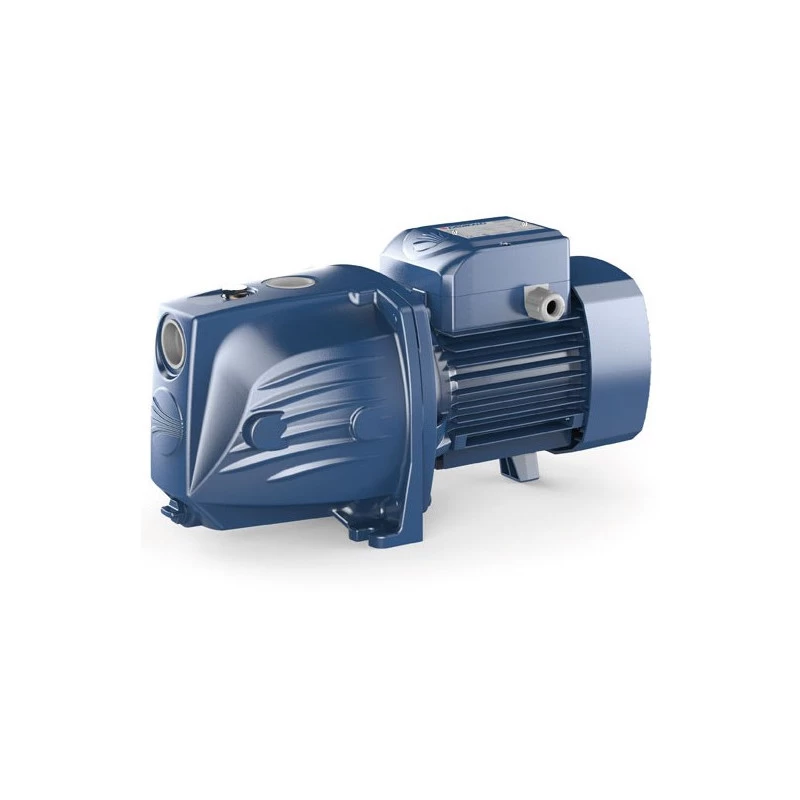 Vandens siurblys Pedrollo JSWm2CX-N (JSWm10MX)