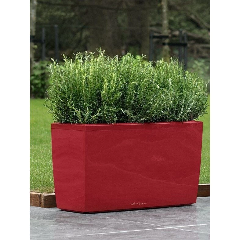 Vazonas Cararo LECHUZA, scarlet red