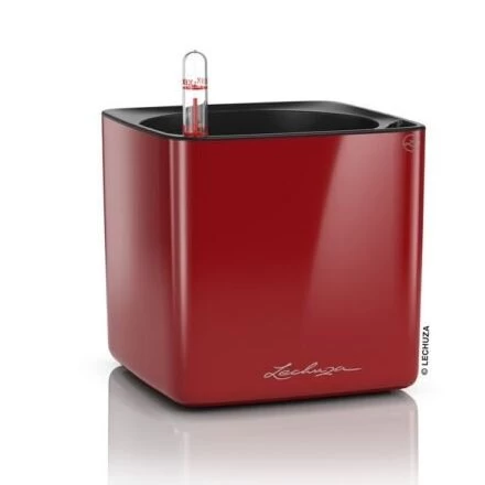 Vazonas Lechuza Cube Glossy, raudona, 13512