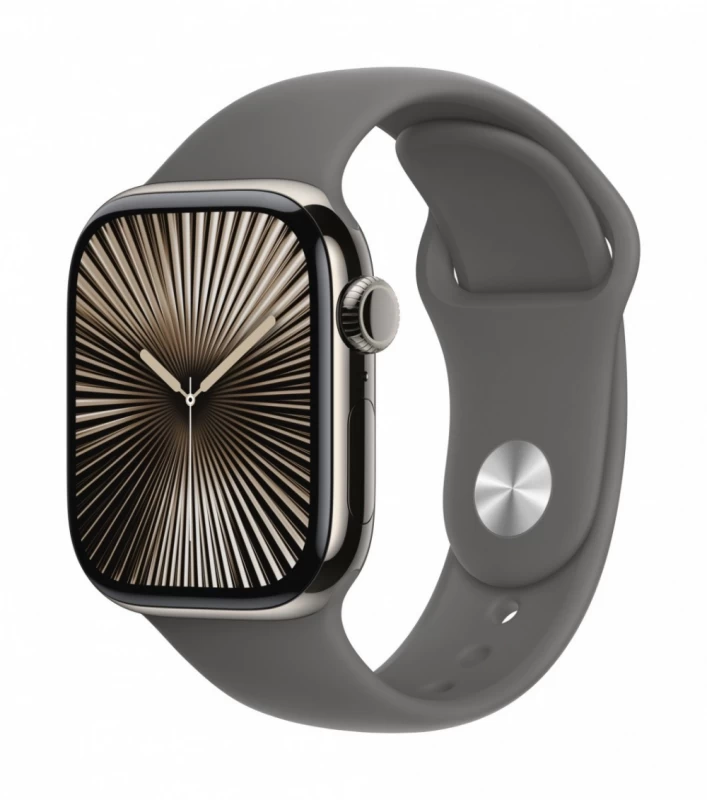 Watch Series 10 Gps + Cellular 42 Mm Apple Watchos 11 Grey