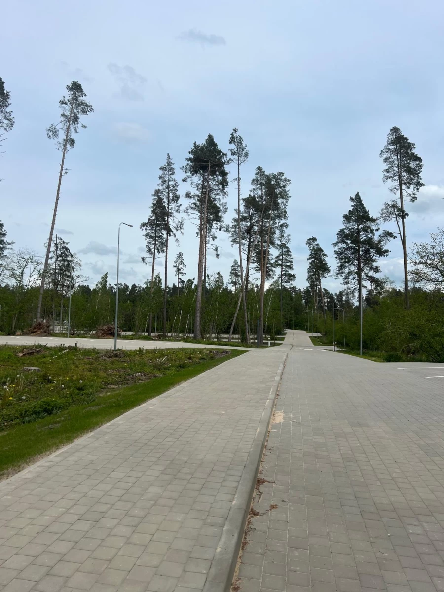 Landskaping - maintenance of yards and other territories Landskaping - maintenance of yards and other territories