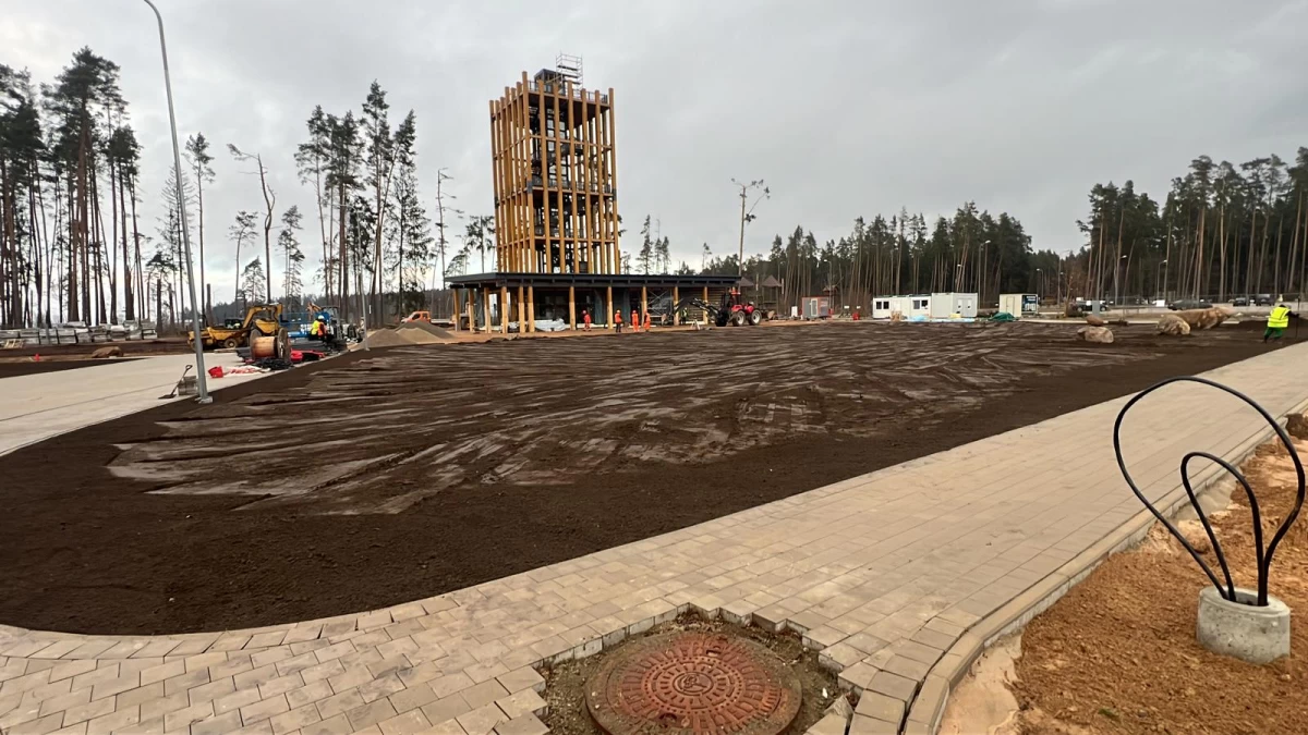 Landskaping - maintenance of yards and other territories Landskaping - maintenance of yards and other territories