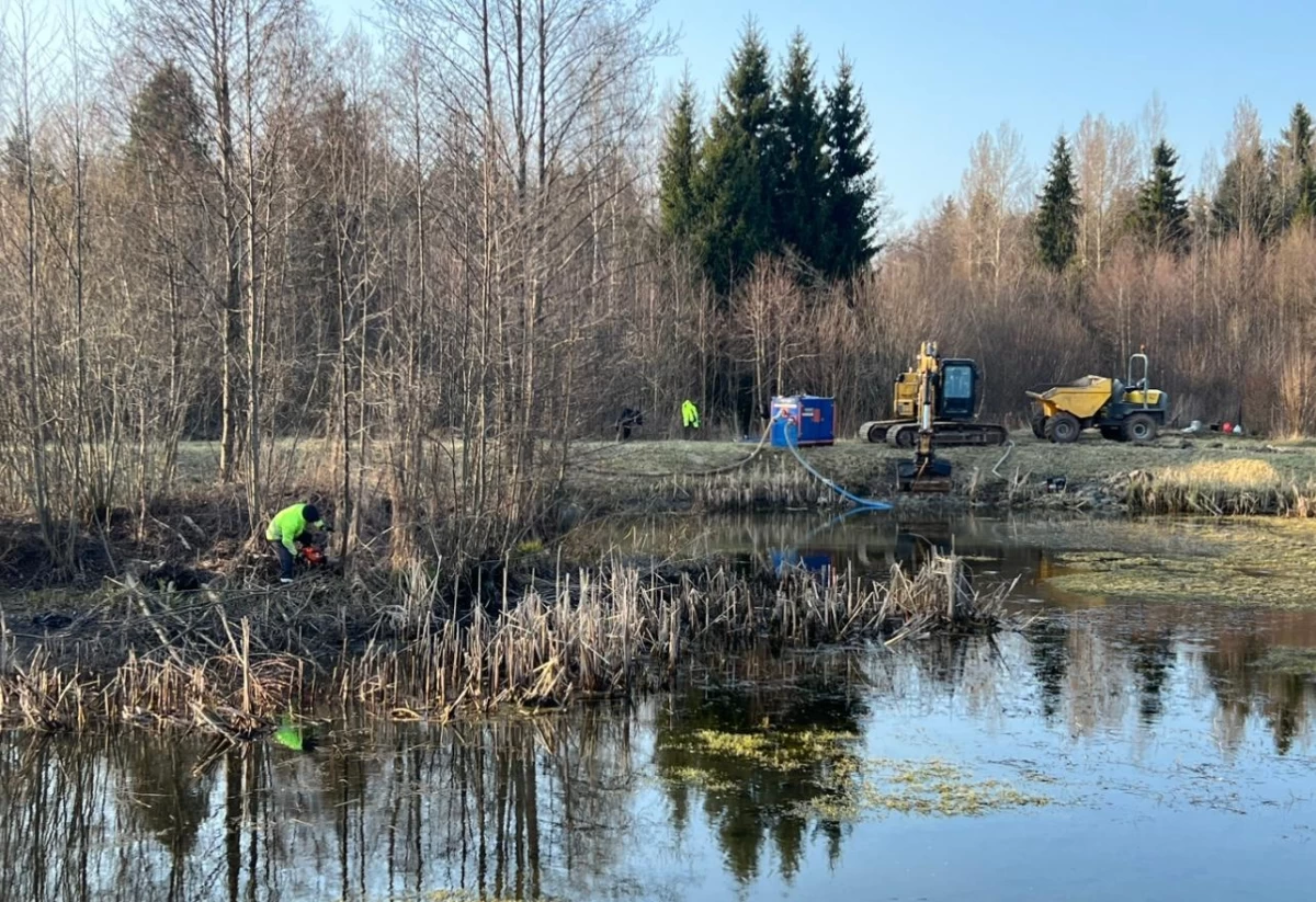 Pond cleaning