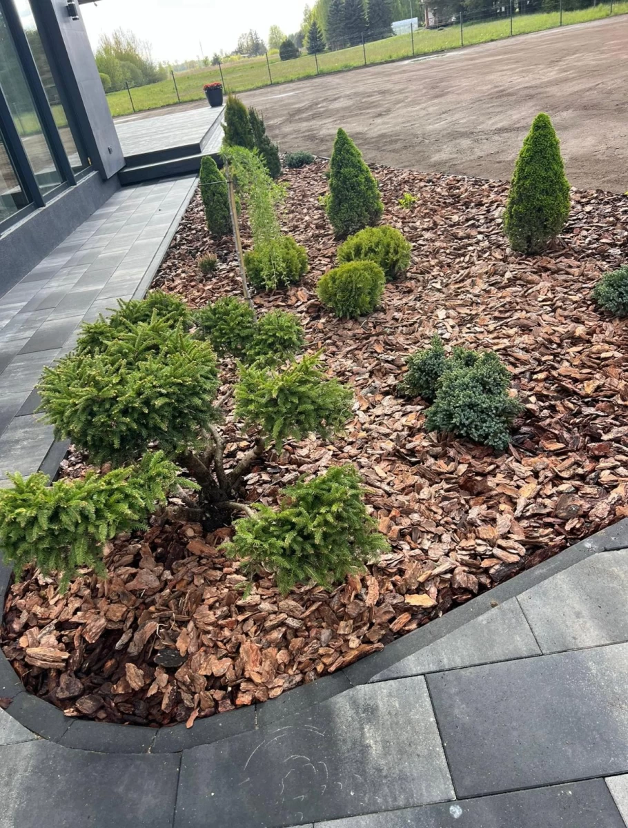 Plantings