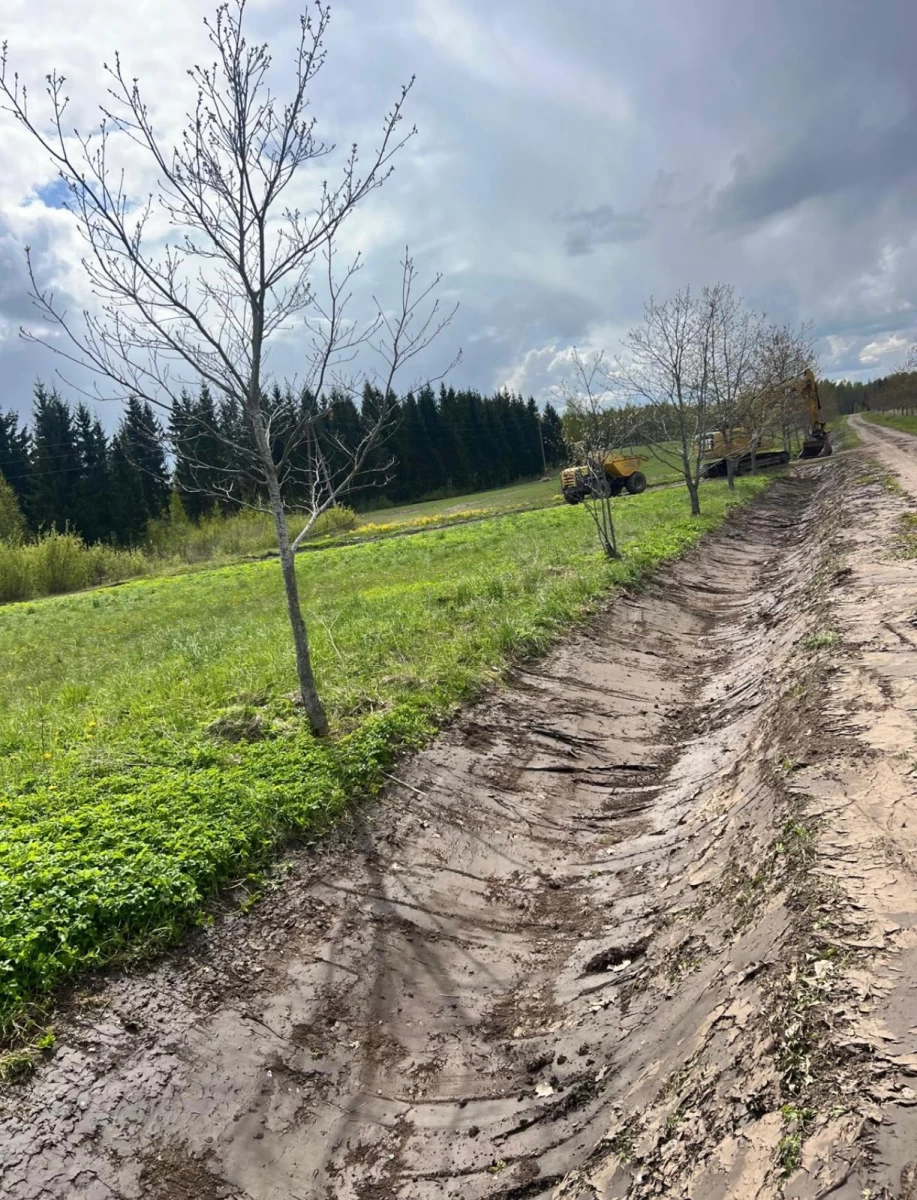 Landskaping - maintenance of yards and other territories Landskaping - maintenance of yards and other territories