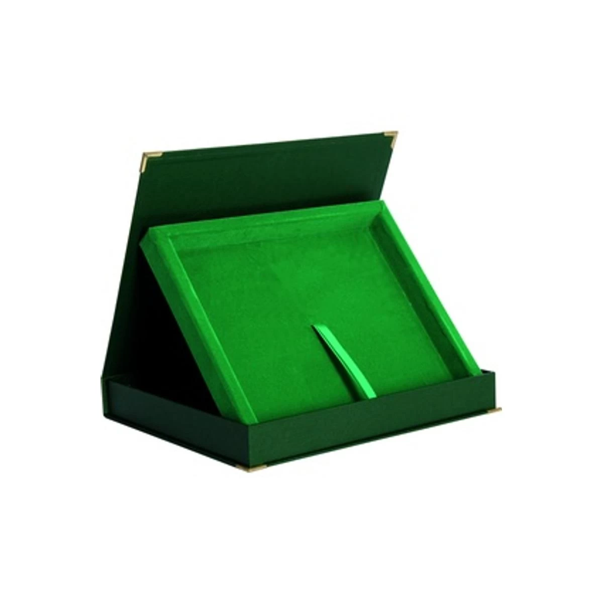 žalios Spalvos Horizontalus Plastikinis Dėklas, Skirtas Lentai 250x200