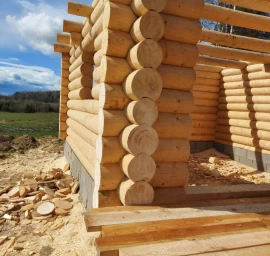 Rastiniai namai, pirtys