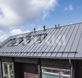 Stogų saugos elementai