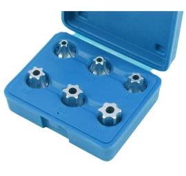 1/2 Galvučių su antgaliais rinkinys (TORX) 6vnt.