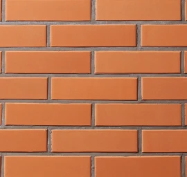Apdailos plytos