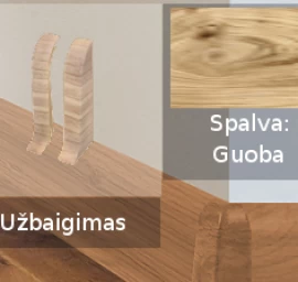 173 UŽBAIGIMAS TERMO GRINDJ.IZZI GUOBA