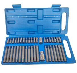 Antgalių rinkinys TORX. HEX. SPLINE 40vnt.
