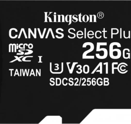 Kingston Atminties Kortelė 256 Gb
