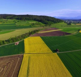 Žemėtvarkos projektai