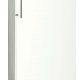 Šaldytuvas SNAIGE CC29SM-T100FE