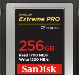 Transcend Atminties Kortelė 256 Gb