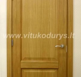 Vidaus durys