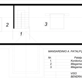 Tradicinės etnografinės sodybos projektas