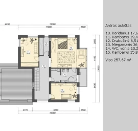 Gyvenamojo namo projektas AURIS