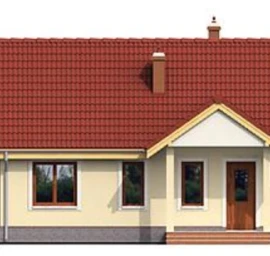 Vieno aukšto namo projektas Ona