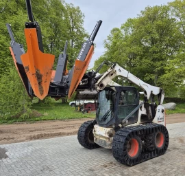 Medžių persodinimas visoje Lietuvoje