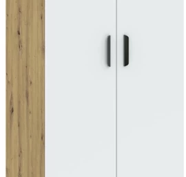 Spinta BASIC TWO