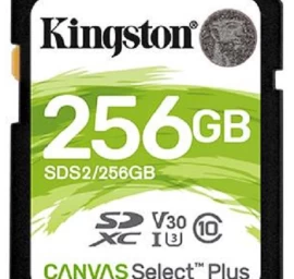Kingston Atminties Kortelė 256 Gb