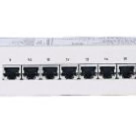 503754 Intellinet Network Solutions 19 Sujungimo Skydas