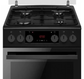 523GE3.33HZpTsDpAN(Bm)  FS cooker