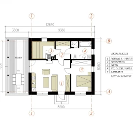 Pirties projektas Vilius