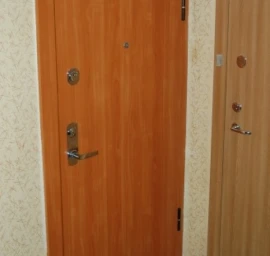 Apsauginės durys