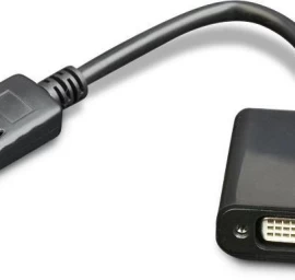 Adapter DVI             Display port v.1
