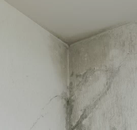 Drėgmė ir vidaus defektai name – ekspertizė Šiauliuose
