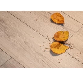 Laminuotos grindys Kaindl AquaPro Select Natural Touch Standard Plank 12.0 Ąžuolas Evoke Sandolo