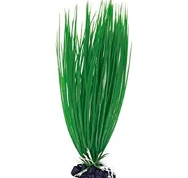 AMTRA ACORUS plastmasinis augalas vidutinis 17cm 1vnt, A8011934