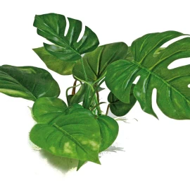 AMTRA ANUBIAS plastikinis augalas 15cm 1vnt, A8011400