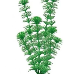 AMTRA CABOMBA plastikinis augalas vidutinis 17cm 1vnt, A8011268