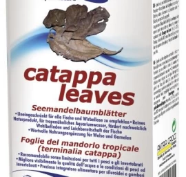 AMTRA CATAPPA lapai 30vnt, A3050050