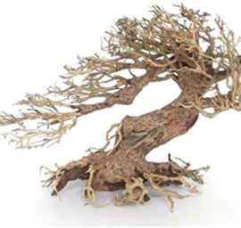 AMTRA dekoracija WOOD ORIENTAL natūralus medis 3 S, A8147651