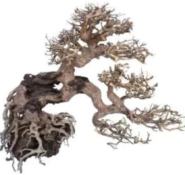 AMTRA dekoracija WOOD ORIENTAL natūralus medis 7 S, A8147660