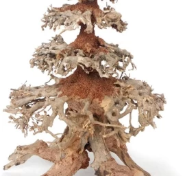 AMTRA dekoracija WOOD ORIENTAL natūralus medis 8 M, A8147662