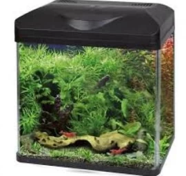 AMTRA LAGUNA LED 40 AKVARIUMAS 32l, A2001618