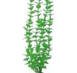 AMTRA ROTALA plastmasinis augalas vidutinis 17cm 1vnt, A8011247