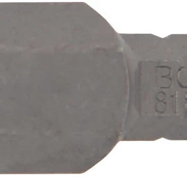 Antgalis | 6.3 mm (1/4) | hex šešiakampis 10 mm (8181)